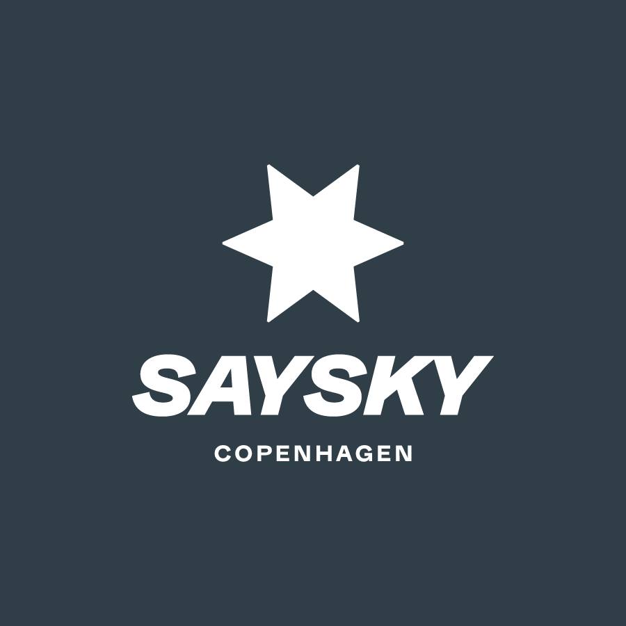 logo of Saysky